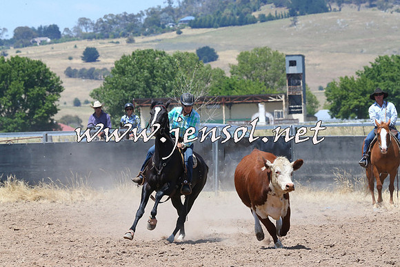 BraidwoodCampdraft2014_0805