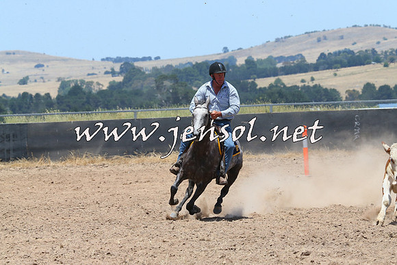 BraidwoodCampdraft2014_1017