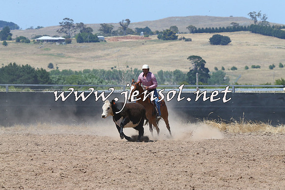 BraidwoodCampdraft2014_0717