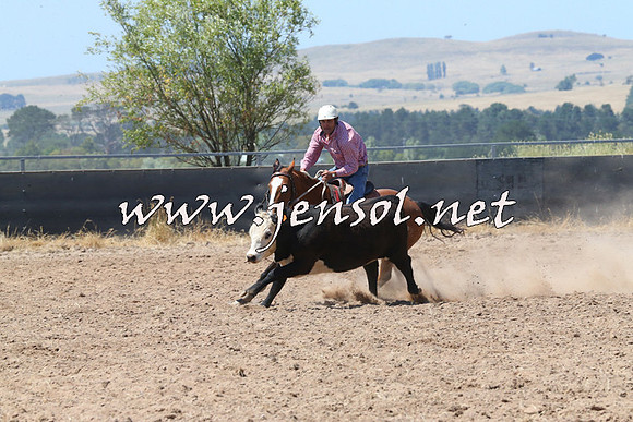 BraidwoodCampdraft2014_0709