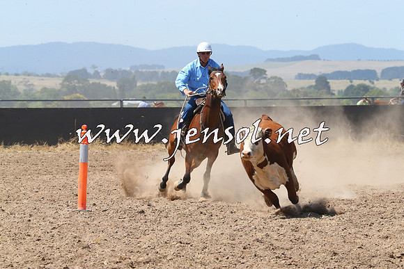 BraidwoodCampdraft2014_0664