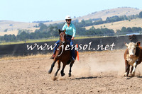 BraidwoodCampdraft2014_0645