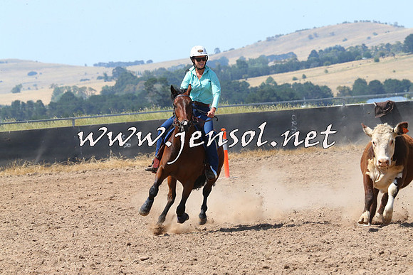 BraidwoodCampdraft2014_0645