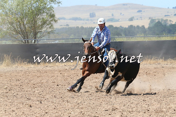 BraidwoodCampdraft2014_0692