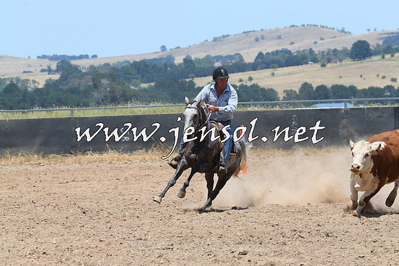 BraidwoodCampdraft2014_1014