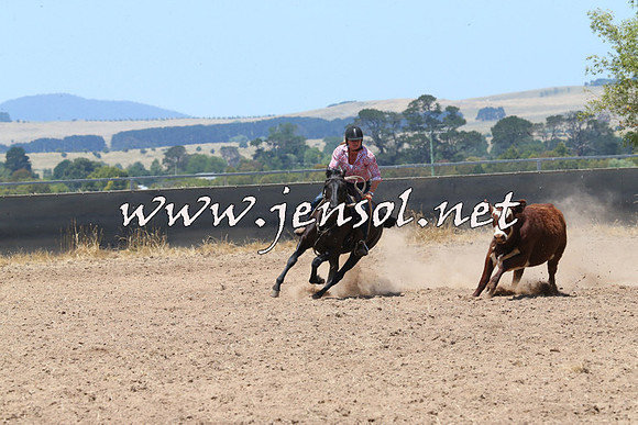 BraidwoodCampdraft2014_0924