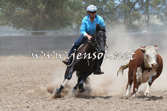 BraidwoodCampdraft2014_1075