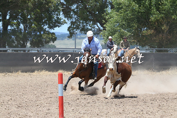 BraidwoodCampdraft2014_0965