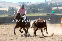 BraidwoodCampdraft2014_0667