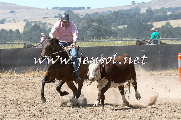 BraidwoodCampdraft2014_0667