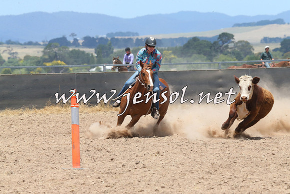BraidwoodCampdraft2014_1060