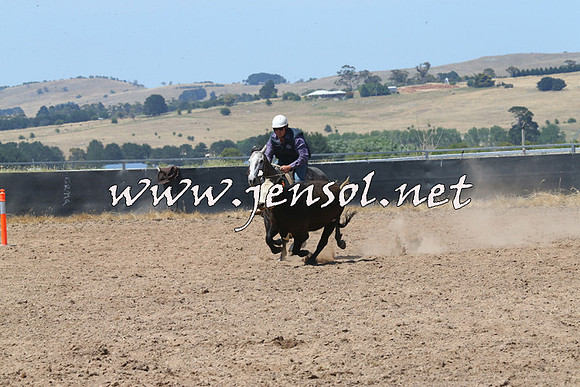 BraidwoodCampdraft2014_0728
