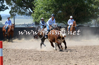 BraidwoodCampdraft2014_0655