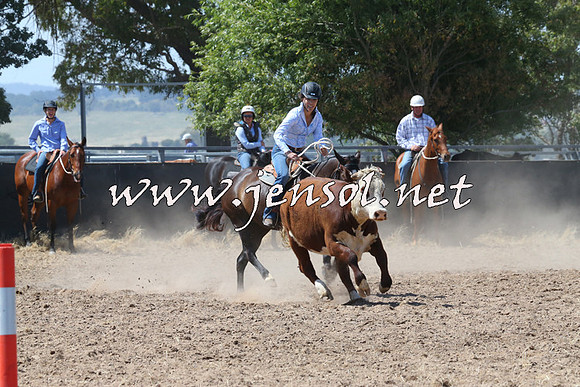 BraidwoodCampdraft2014_0655