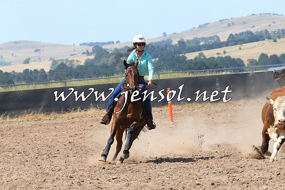 BraidwoodCampdraft2014_0647