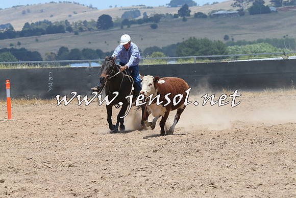 BraidwoodCampdraft2014_1067