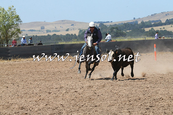 BraidwoodCampdraft2014_0742