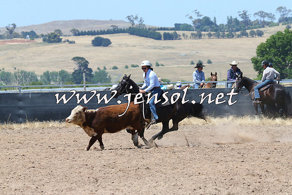 BraidwoodCampdraft2014_0759