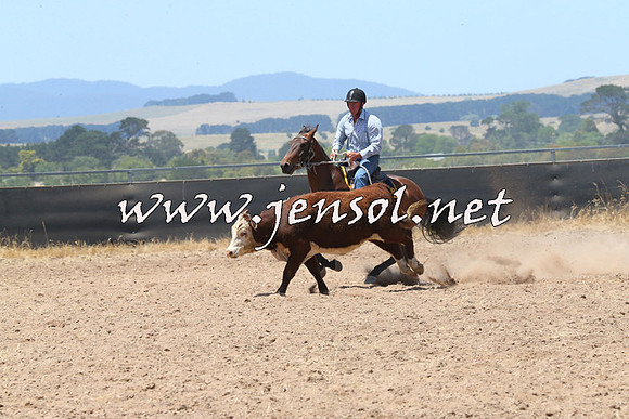 BraidwoodCampdraft2014_0882