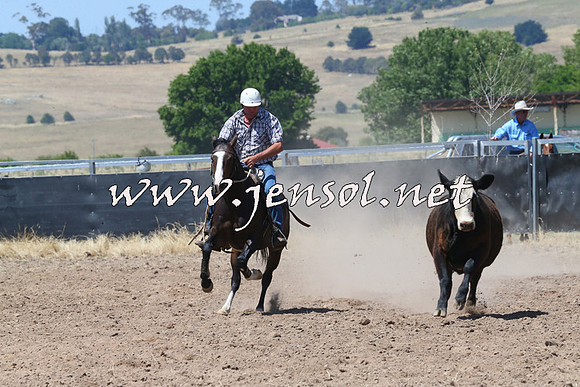 BraidwoodCampdraft2014_0725