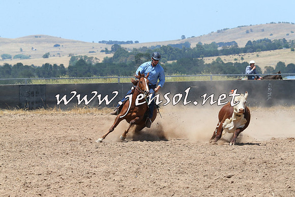 BraidwoodCampdraft2014_0810