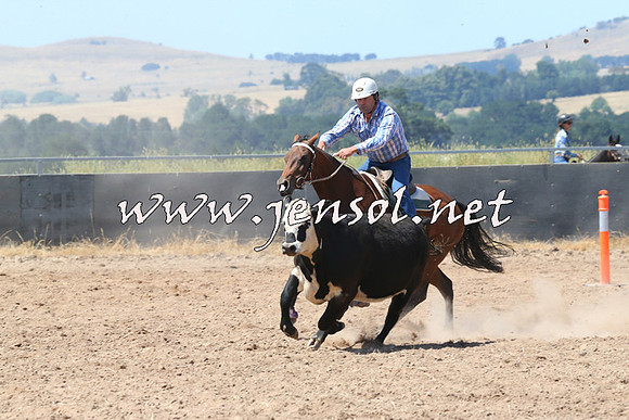 BraidwoodCampdraft2014_0695