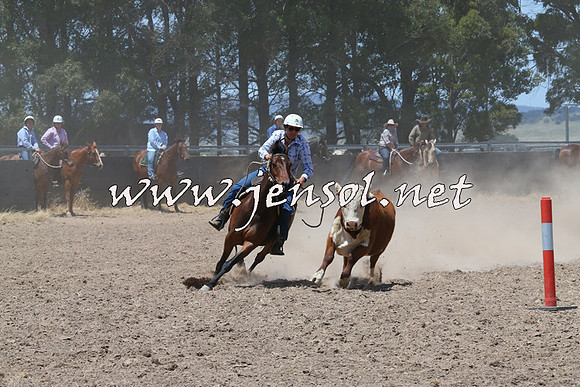 BraidwoodCampdraft2014_0986