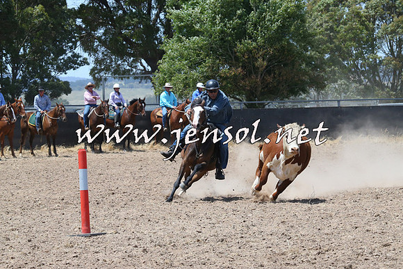 BraidwoodCampdraft2014_0864