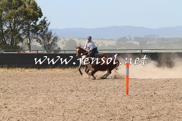BraidwoodCampdraft2014_0754