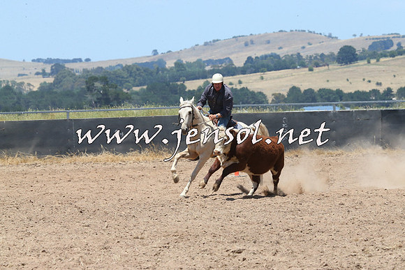 BraidwoodCampdraft2014_0942