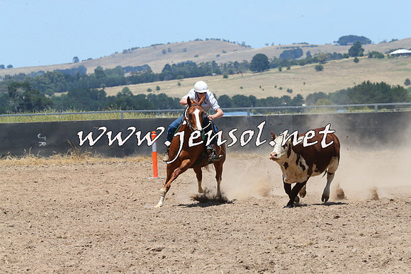 BraidwoodCampdraft2014_0958