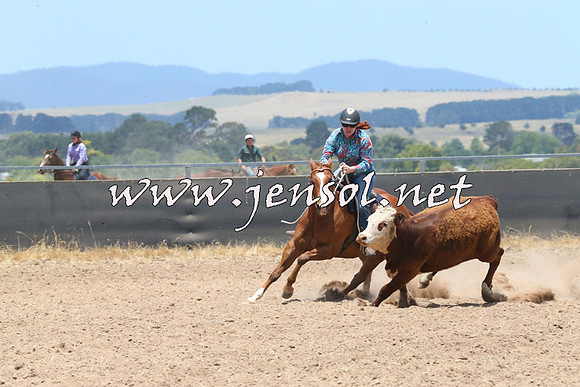 BraidwoodCampdraft2014_1063