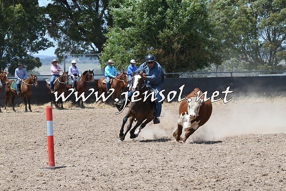 BraidwoodCampdraft2014_0862