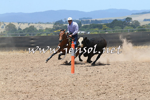 BraidwoodCampdraft2014_1031