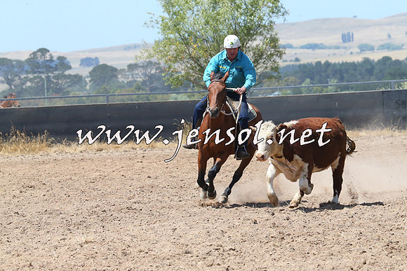 BraidwoodCampdraft2014_0785
