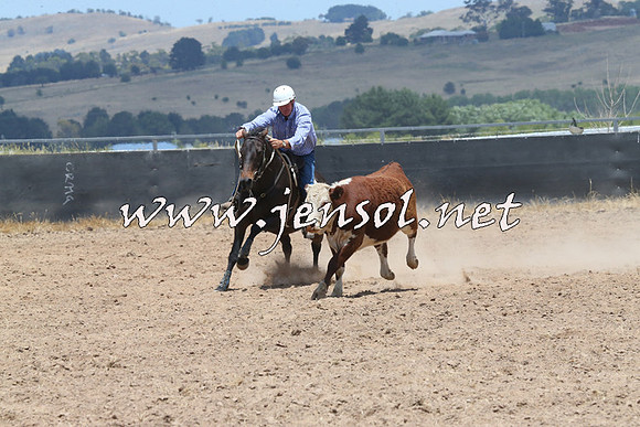BraidwoodCampdraft2014_1066