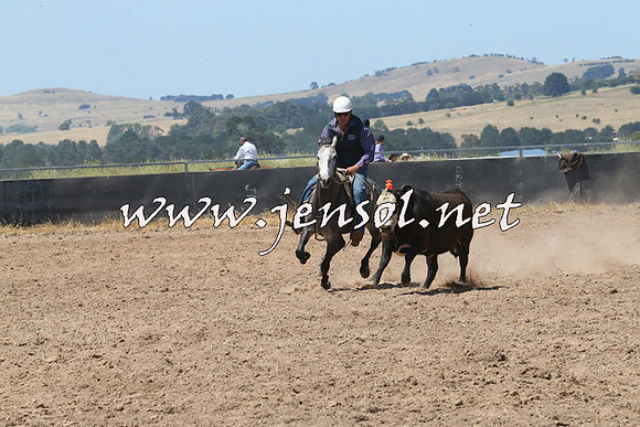 BraidwoodCampdraft2014_0740