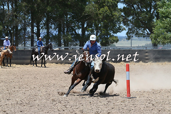 BraidwoodCampdraft2014_1049
