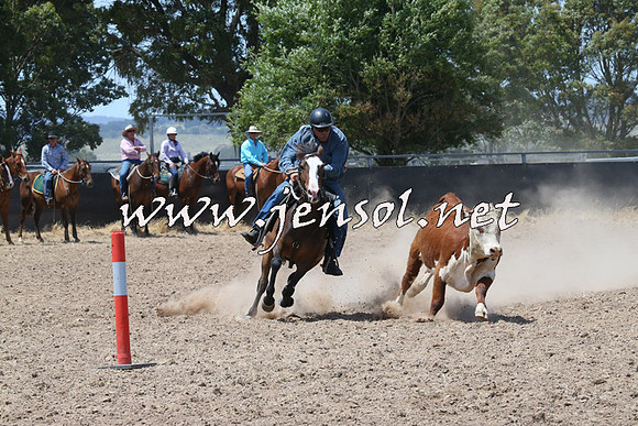 BraidwoodCampdraft2014_0861