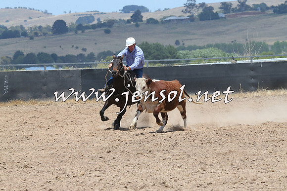 BraidwoodCampdraft2014_1068