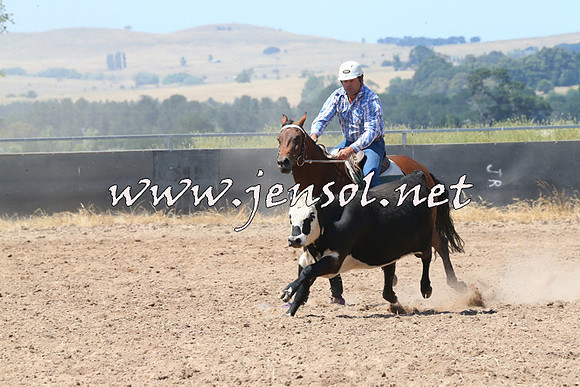 BraidwoodCampdraft2014_0694