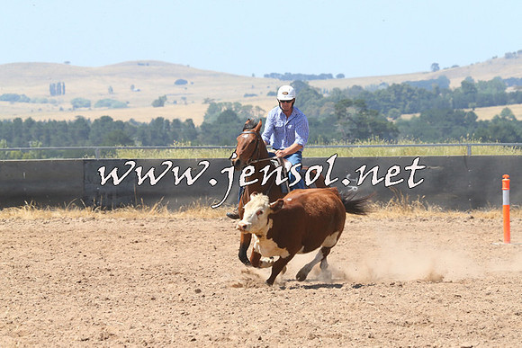 BraidwoodCampdraft2014_0677