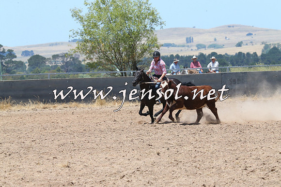 BraidwoodCampdraft2014_0930