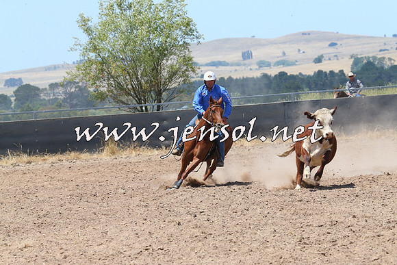 BraidwoodCampdraft2014_0830