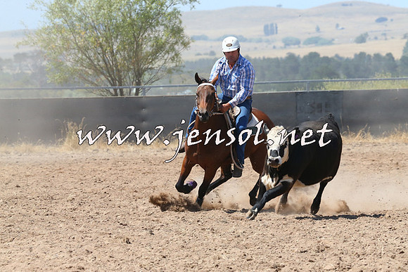 BraidwoodCampdraft2014_0700