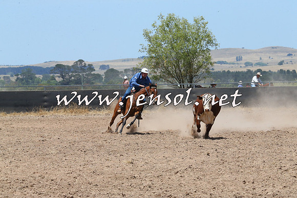 BraidwoodCampdraft2014_0908