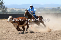 BraidwoodCampdraft2014_0663