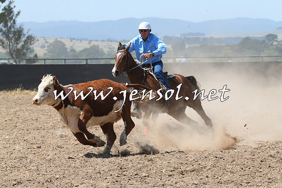 BraidwoodCampdraft2014_0663
