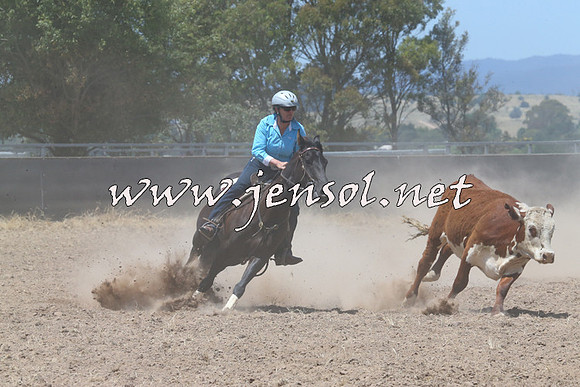 BraidwoodCampdraft2014_0991