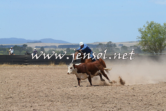 BraidwoodCampdraft2014_0917